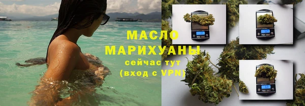 шишки Сатка