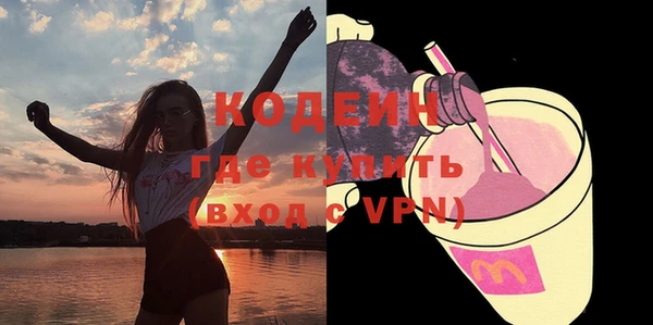 шишки Сатка