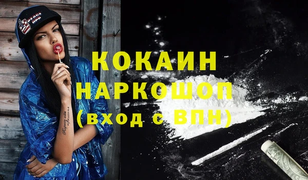 шишки Сатка