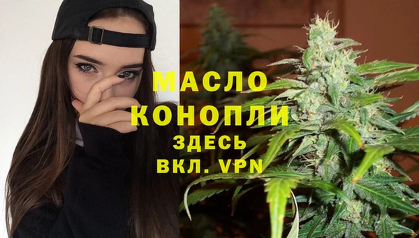 шишки Сатка