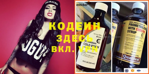 шишки Сатка