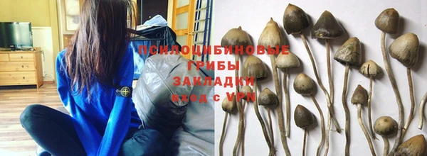 герыч Россошь