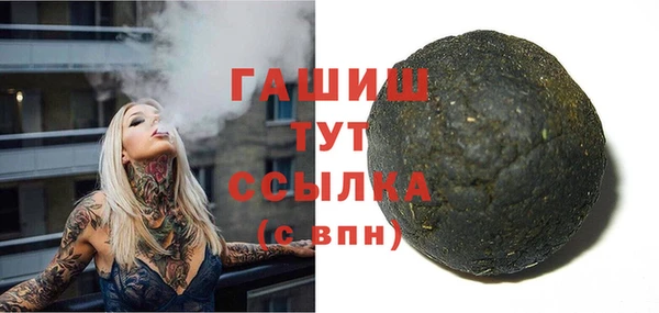 шишки Сатка