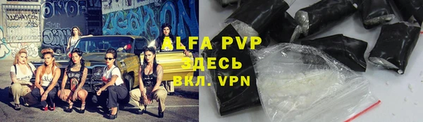 шишки Сатка