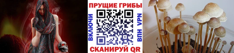 Псилоцибиновые грибы MAGIC MUSHROOMS  Купить закладки  Усинск 